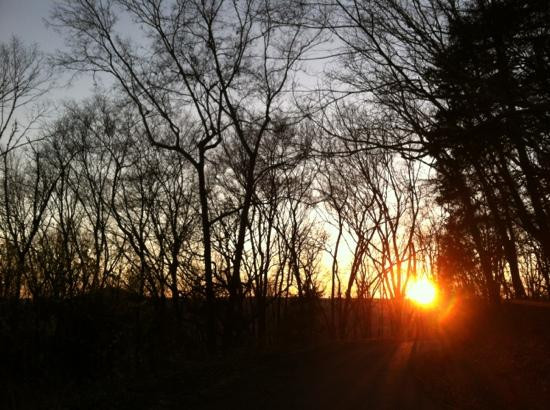 Edwin and Percy Warner Parks-纳什维尔必去景点