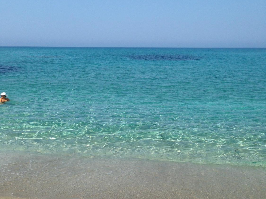 Agriturismo Sa Roia Traversa主图