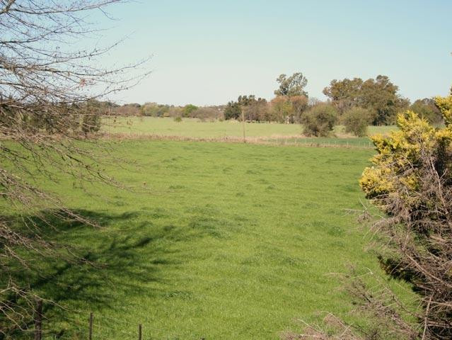 El Paraiso Polo y Naturaleza