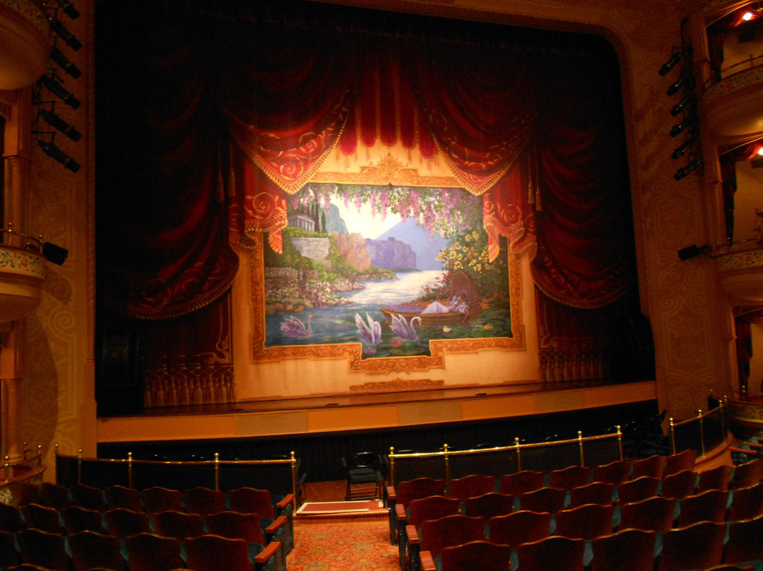 Grand 1894 Opera House景点图片