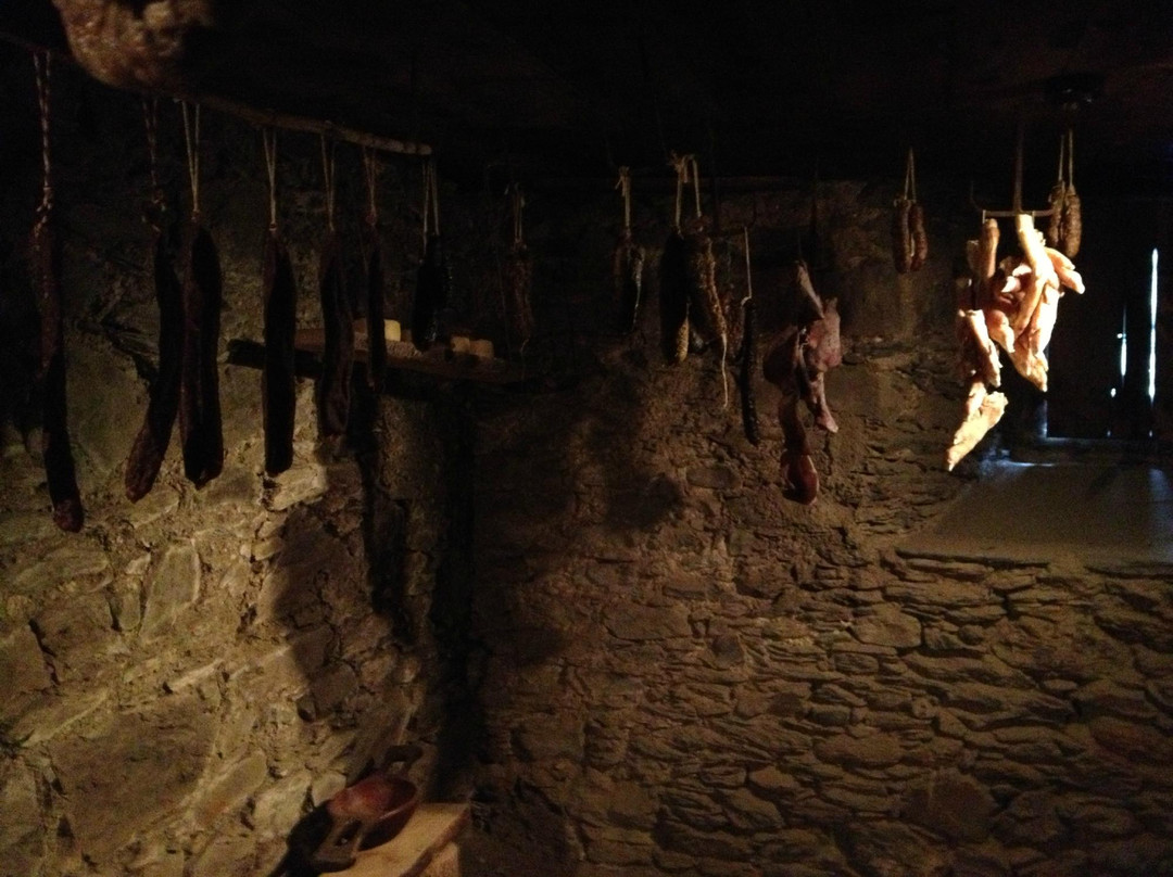 Museu Casa Rull-西斯伯尼必去景点