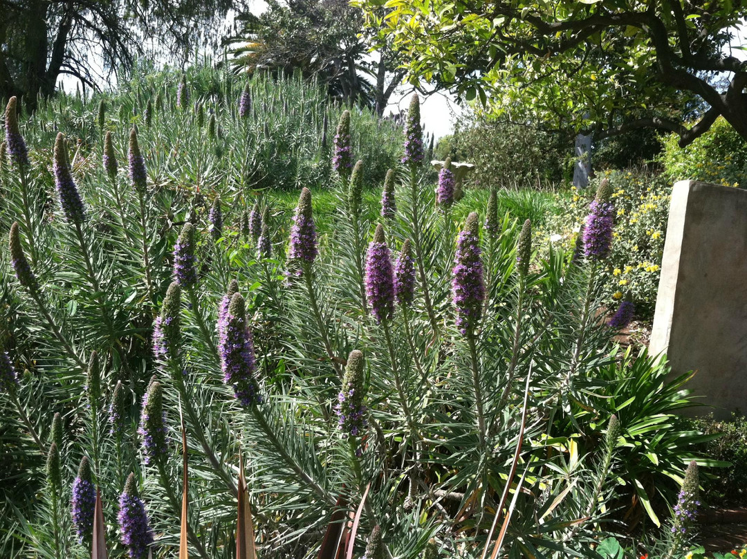 Virginia Robinson Gardens-比佛利山必去景点
