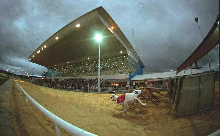 Greyhound Stadium - Curraheen Park