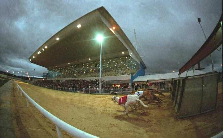 Greyhound Stadium - Curraheen Park景点图片