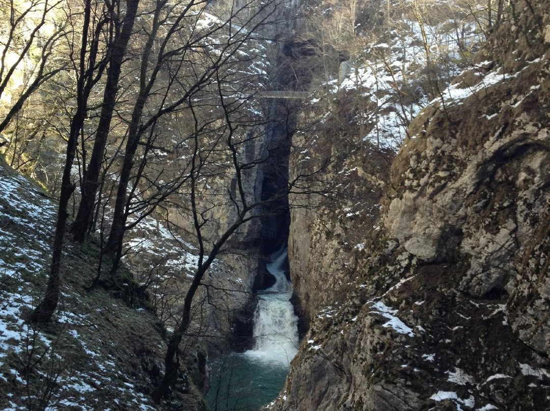 Škocjanske Jame景点图片