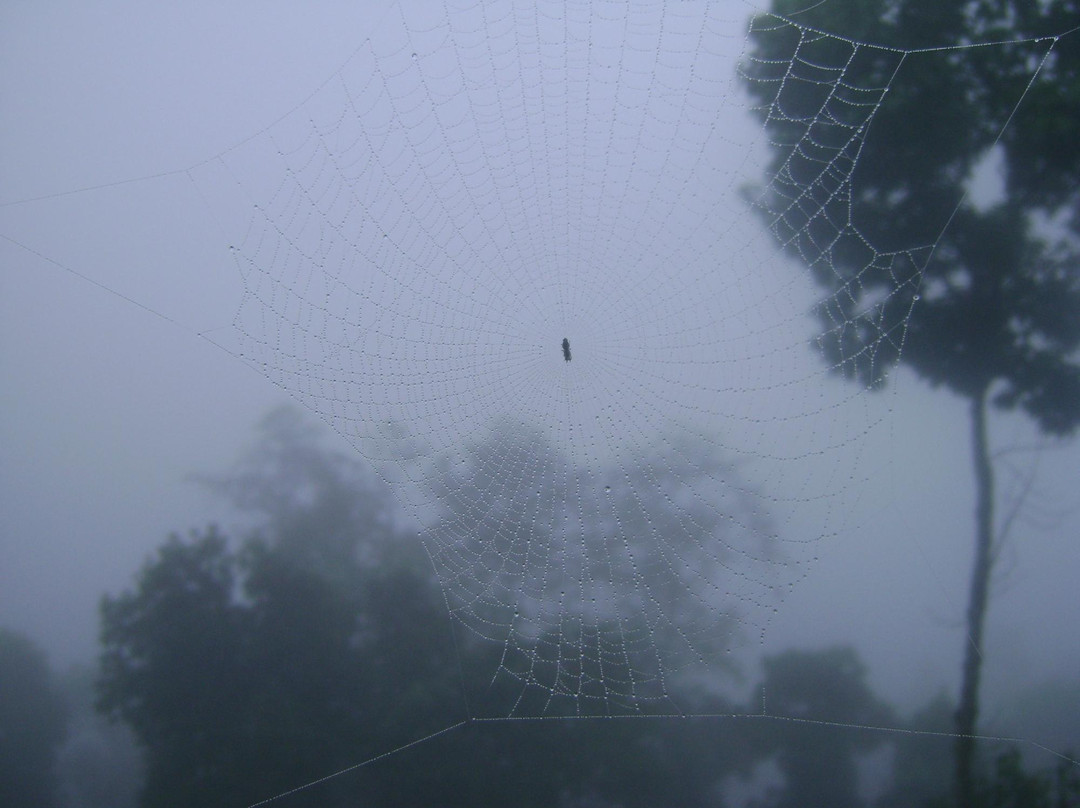 High View Resort主图