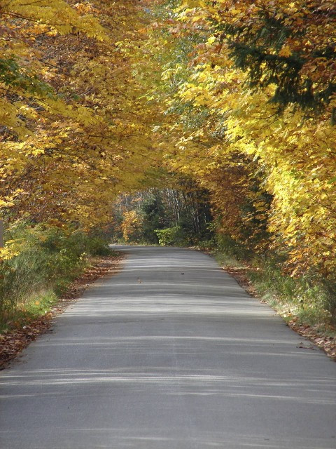 Salsbury House B&B主图