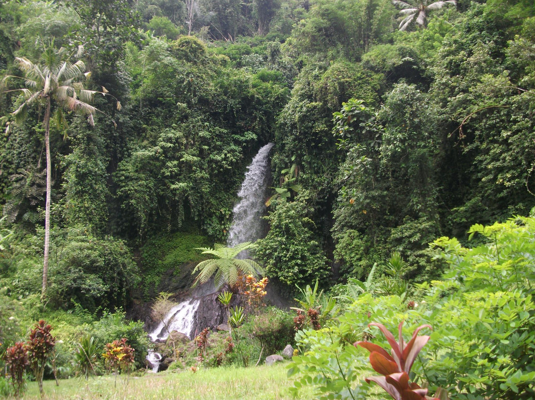 Bali View Rafting-巴厘岛必去景点