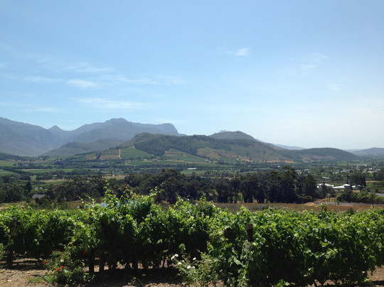 The Wine Specialists