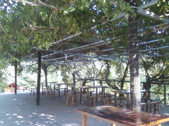 鸡公山-信阳市必去景点