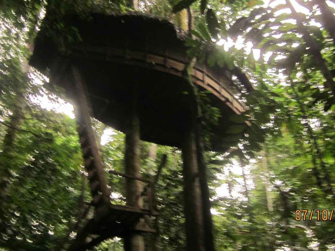塔尼博查山林小屋