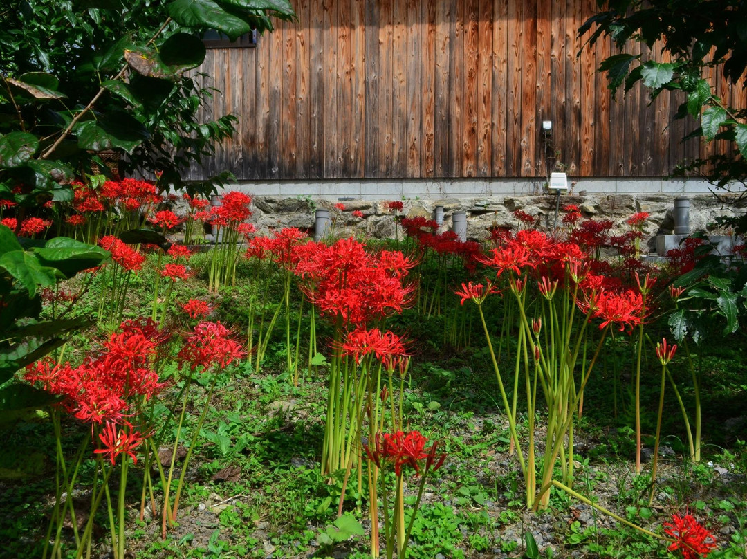 Mankoji Temple-新城市必去景点