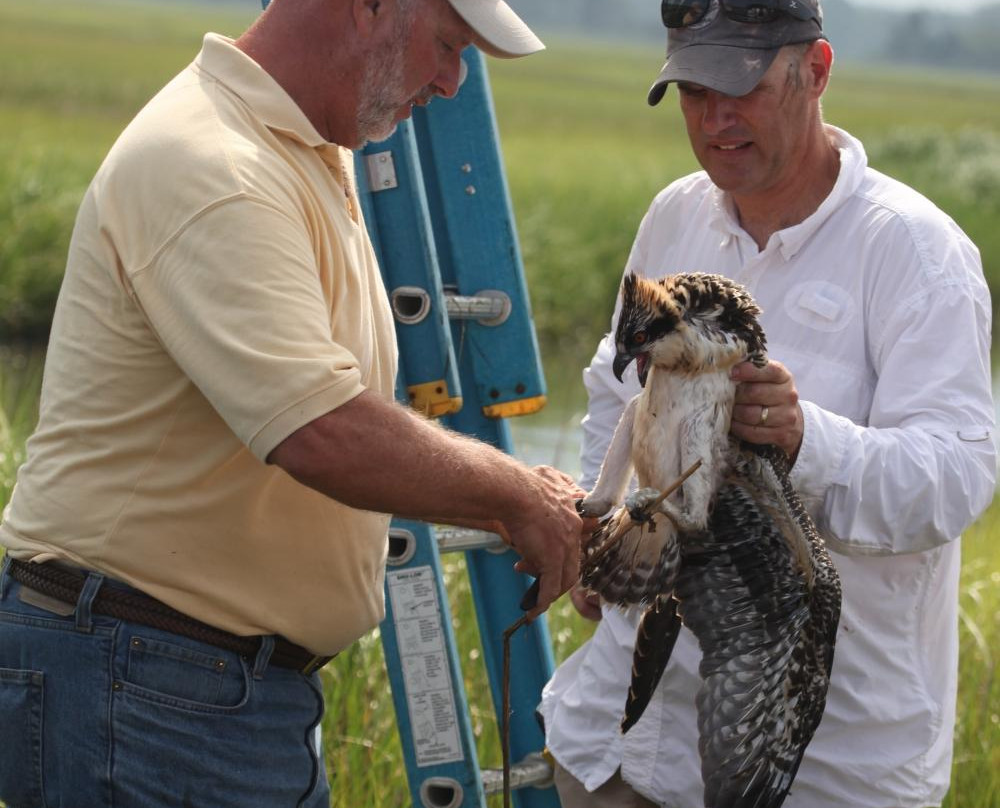 Cape Water Tours-刘易斯必去景点