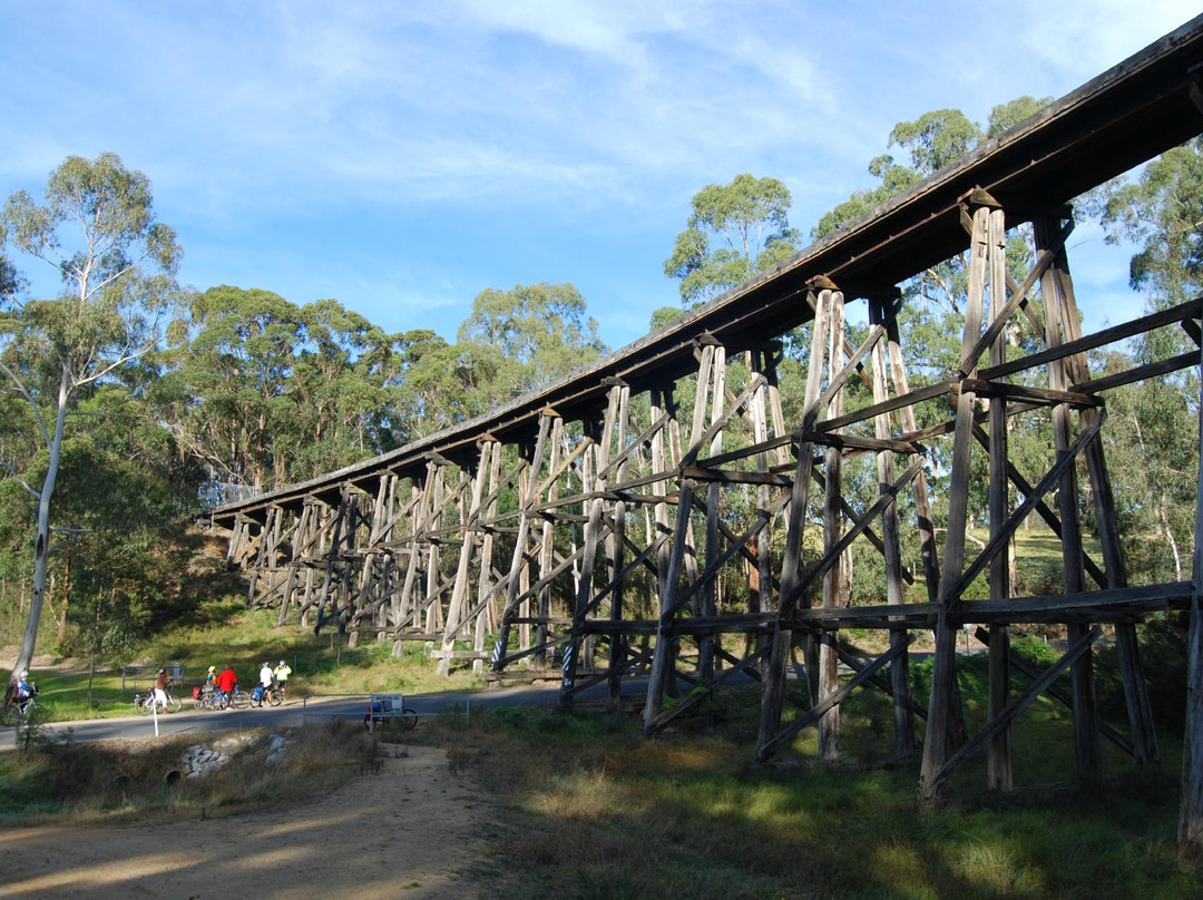 Snowy River Cycling Rail Trail Tours景点图片