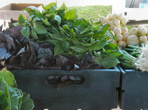 Carrboro Farmers Market-Carrboro必去景点