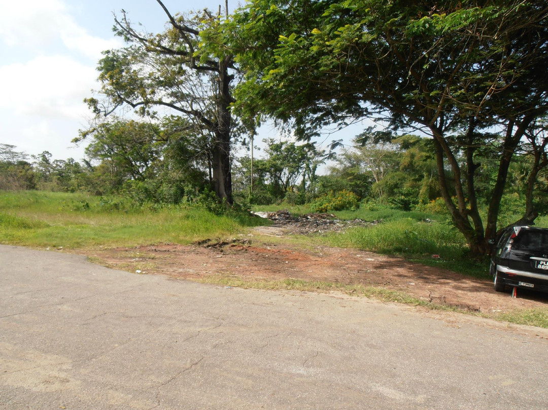 Guyana Botanical Gardens景点图片