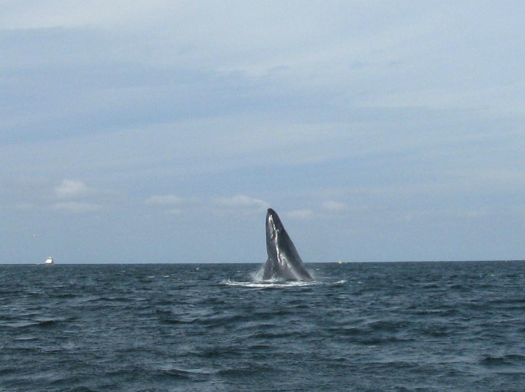 Yelapa Adventures-Yelapa必去景点