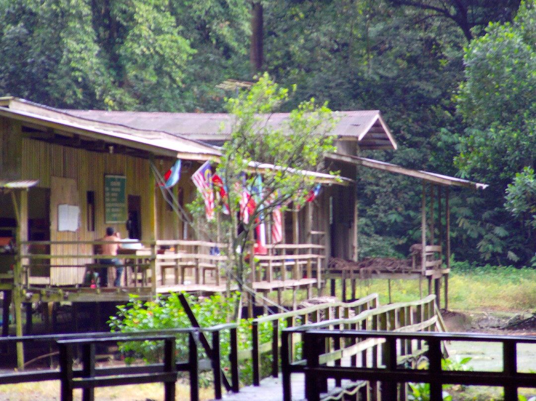 Gomantong Cave Sandakan-山打根必去景点
