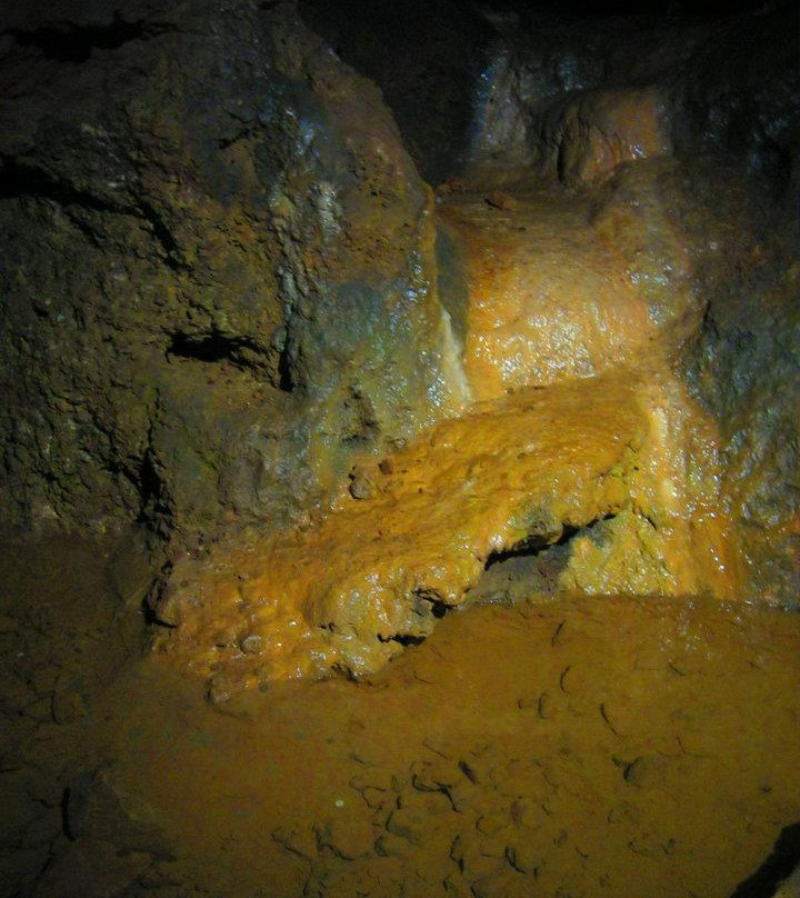 Clearwell Caves-Coleford必去景点