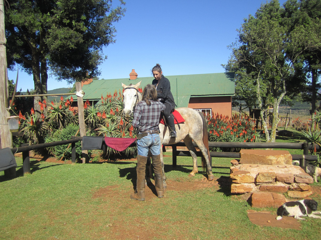Kaapsehoop Horse Trails Day Trips