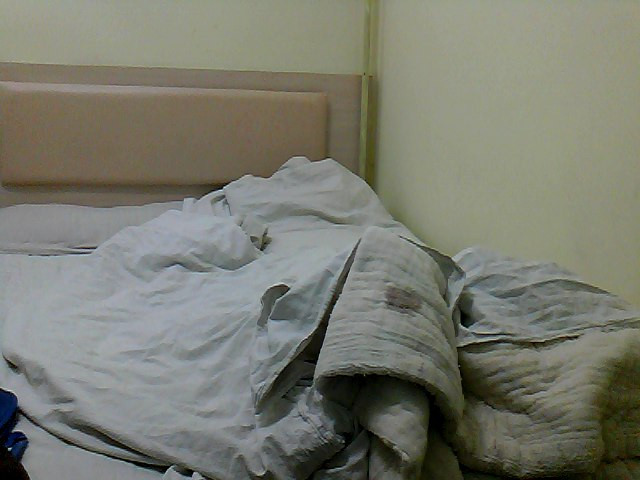 金色阳光宾馆主图