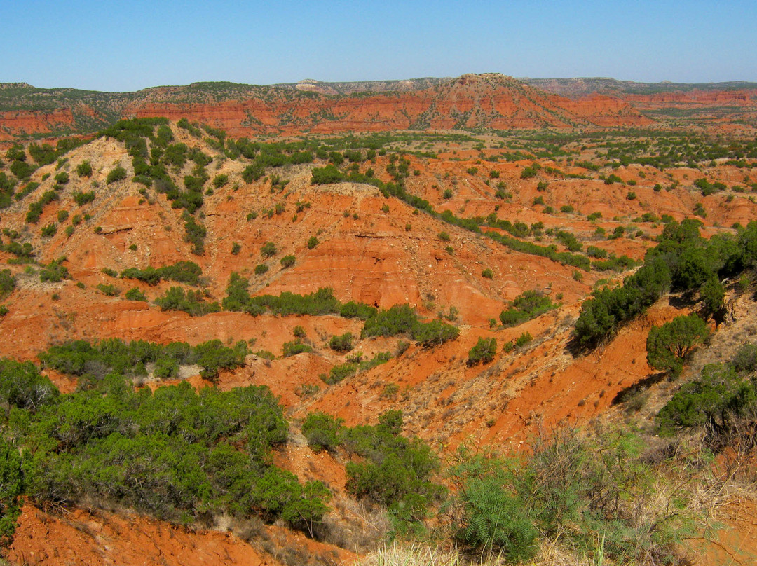 Caprock Canyons State Park-Quitaque必去景点