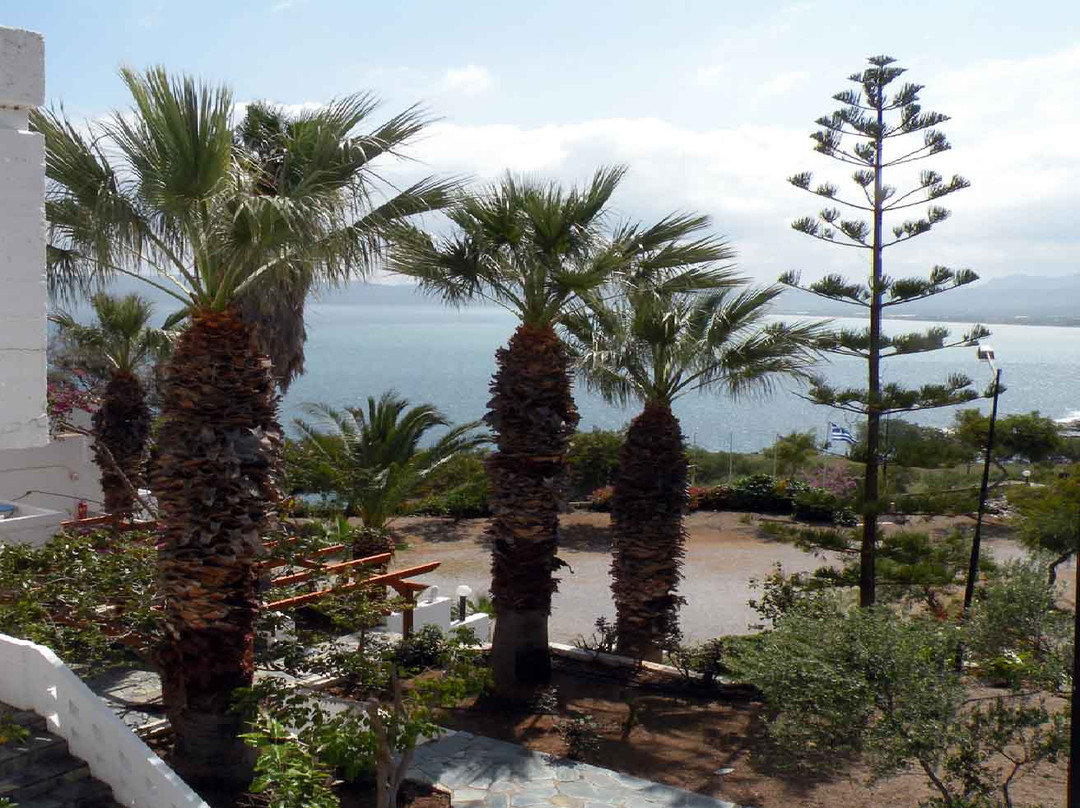 Delfini Hotel Apartments Crete主图