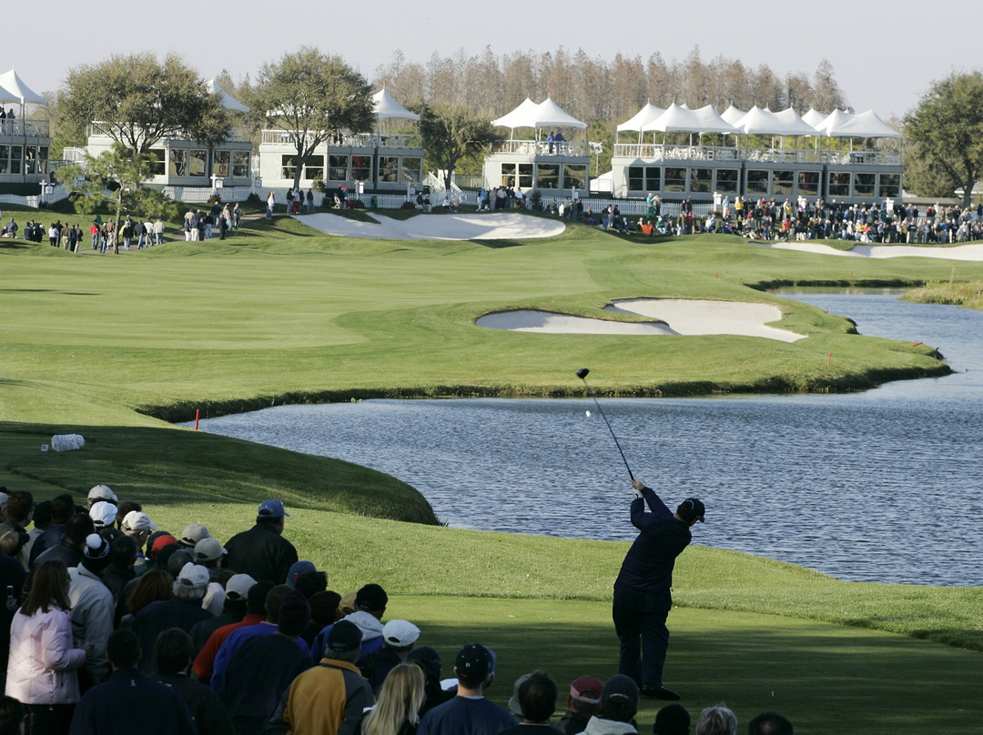 TPC Tampa Bay-Lutz必去景点