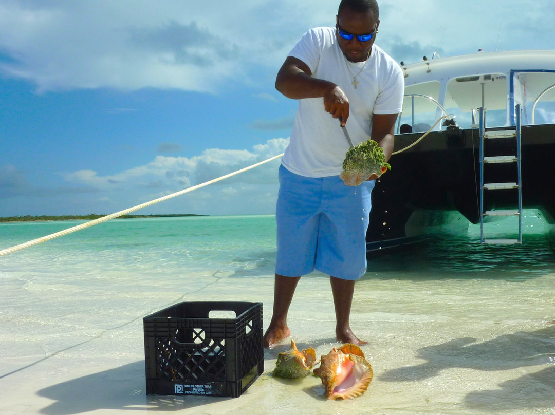 Island Vibes Tours-普罗维登西亚莱斯必去景点