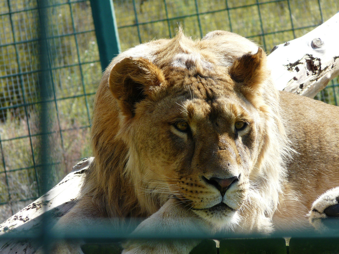 Sendaviva-Arguedas必去景点