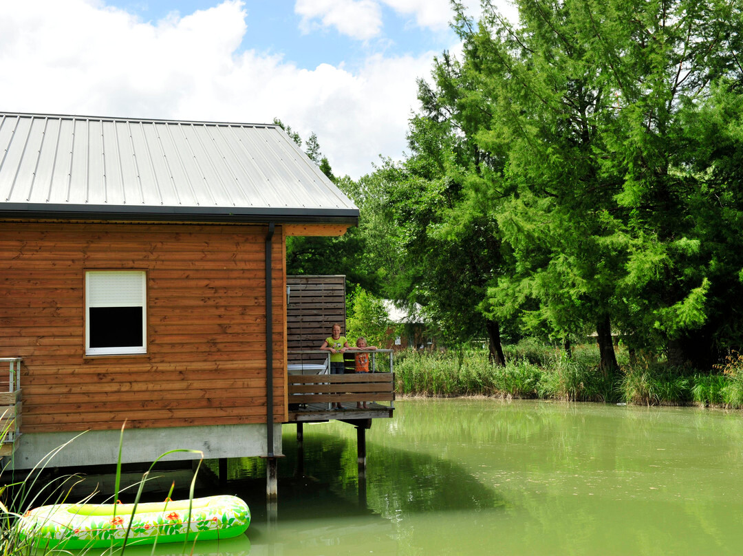 Coly旅游攻略图片