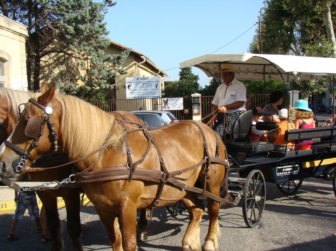 Les Flaneries-普罗旺斯地区萨隆必去景点