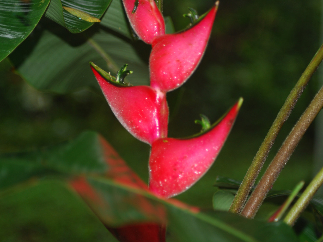Hagia Sofia Sabiduría Sagrada-Santa Cruz Huatulco必去景点