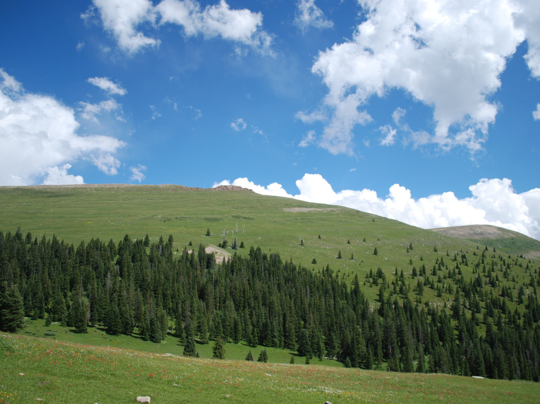 Nova Guides-Red Cliff必去景点