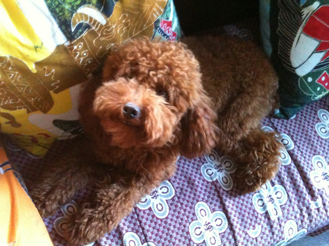 隐阅·四福雅舍设计师观景美宿(丽江旗舰店)主图