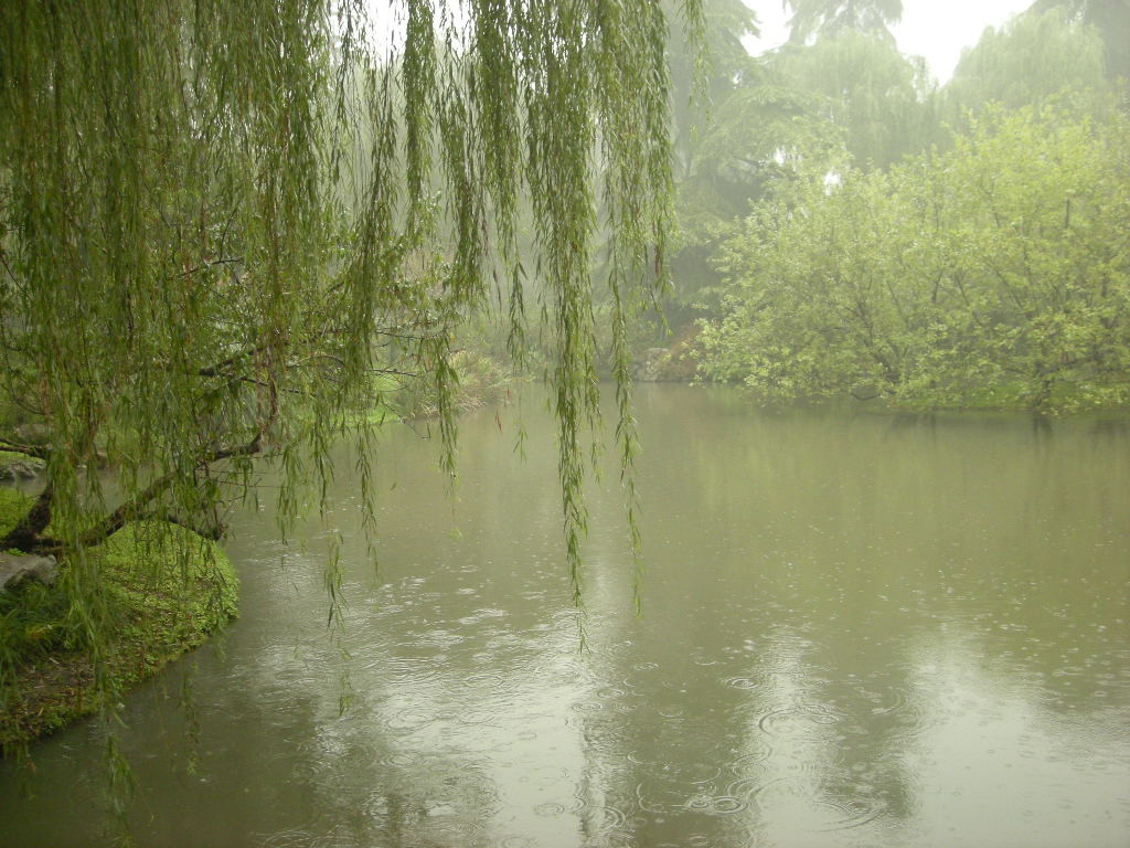 柳浪闻莺-杭州市必去景点