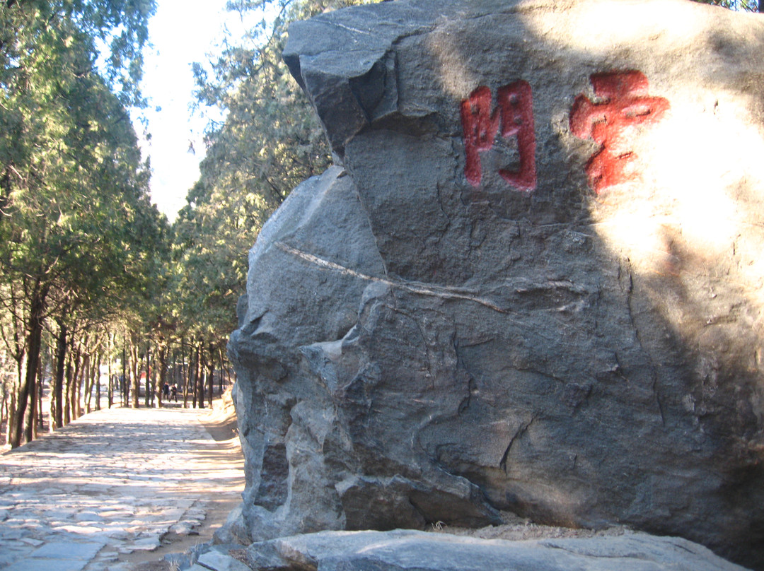 普照寺-泰安市必去景点