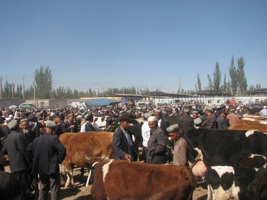 喀什葛尔牲畜市场景点图片