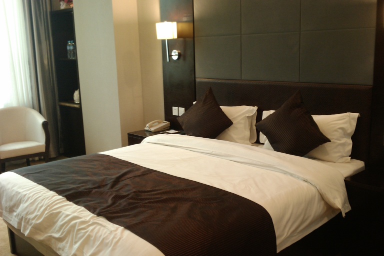 麗枫酒店(天津友谊路小白楼五大道店)-客卧