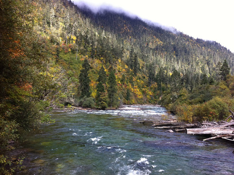 南伊沟-米林县必去景点