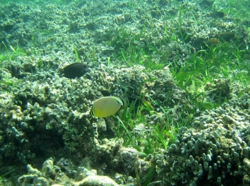 永乐群岛-西沙群岛必去景点