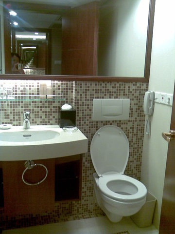 巴黎半岛酒店主图