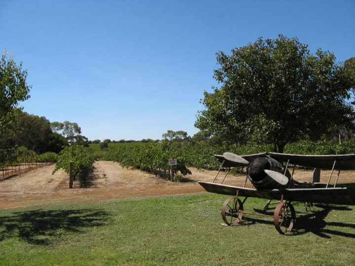 Fox Creek Wines景点图片
