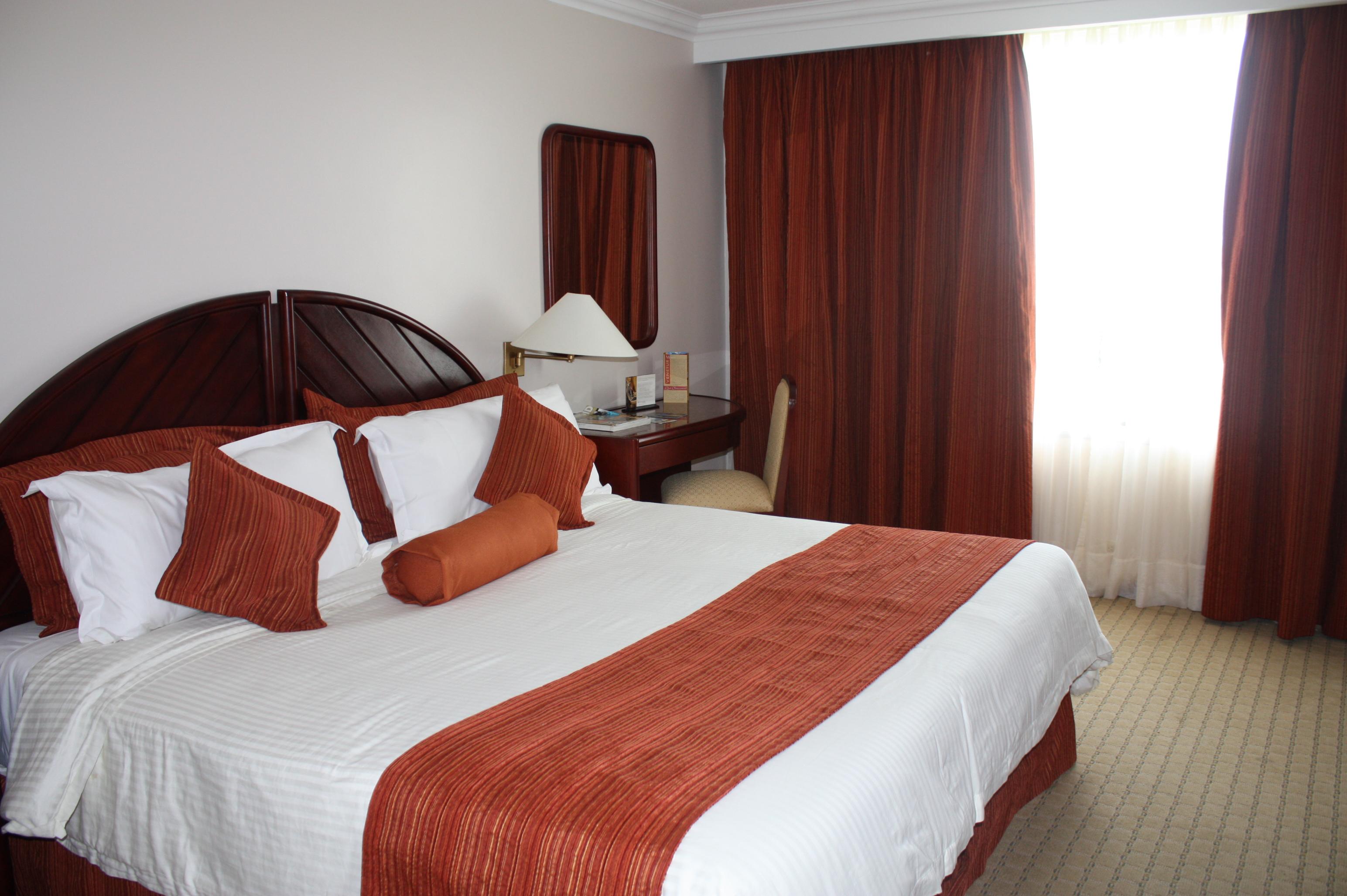 Hotel Venetur Orinoco-客卧