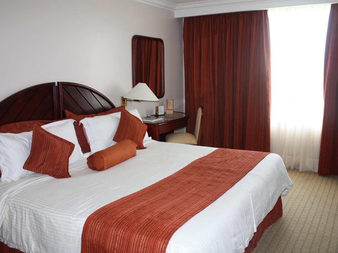 Hotel Venetur Orinoco主图