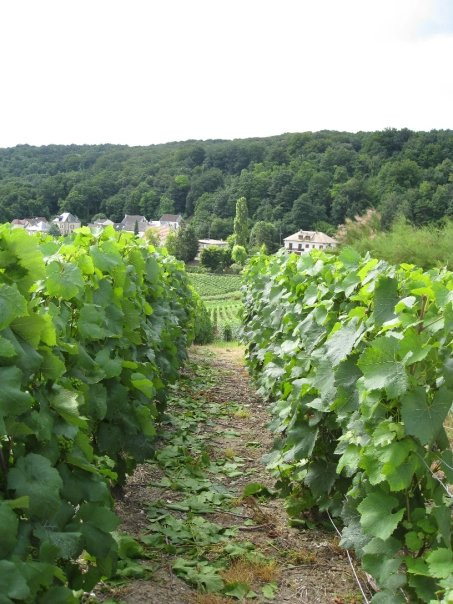 Paris Champagne Tour-巴黎必去景点