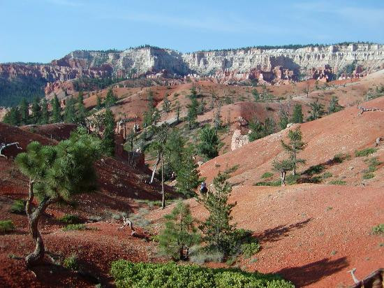 Canyon Trail Rides景点图片