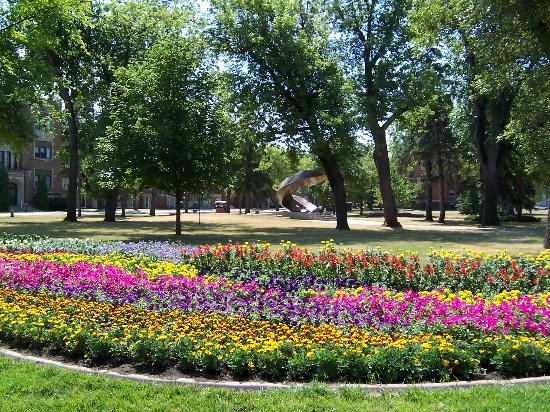 University of North Dakota-大福克斯必去景点