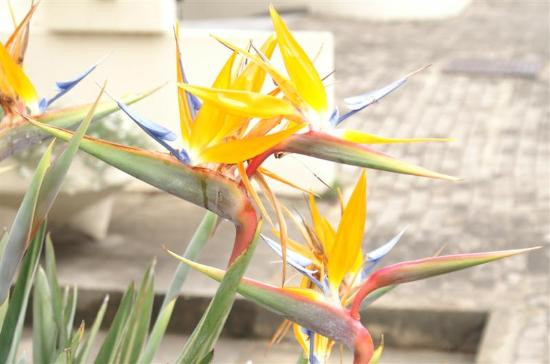 Southern Suburbs-开普敦中心区必去景点