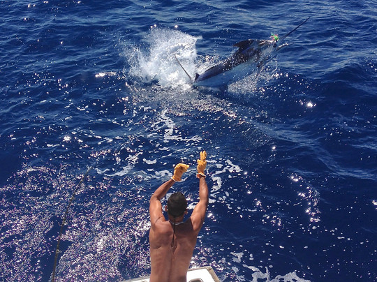Tamarindo Sportfishing